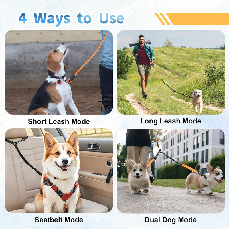 Double Dogs Leash - Removable Main Lead Rope with Splitter, No Tangle 2 Dog Coupler, Reflective No Pull Bungee, 3 Handle, D-Ring, Extra Long for Walk Train Medium Large Two Pet (Orange) Orange