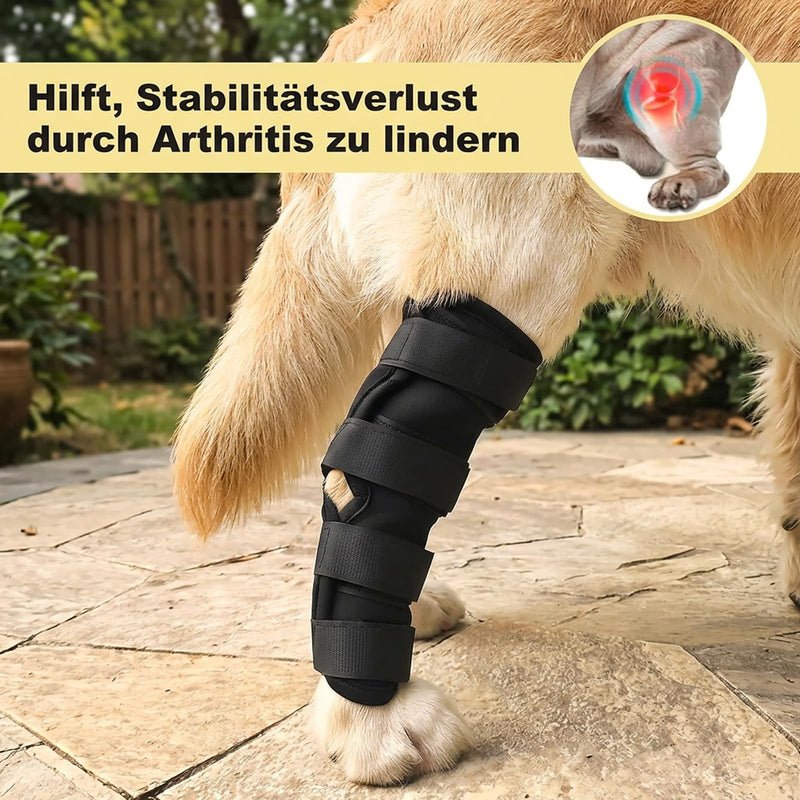 2 pieces of ankle bandage for dogs, lick protection dog bandage for front and hind legs, dog leg bandage for the treatment of wounds, injuries and sprains, supports healing, Gr√∂√ü