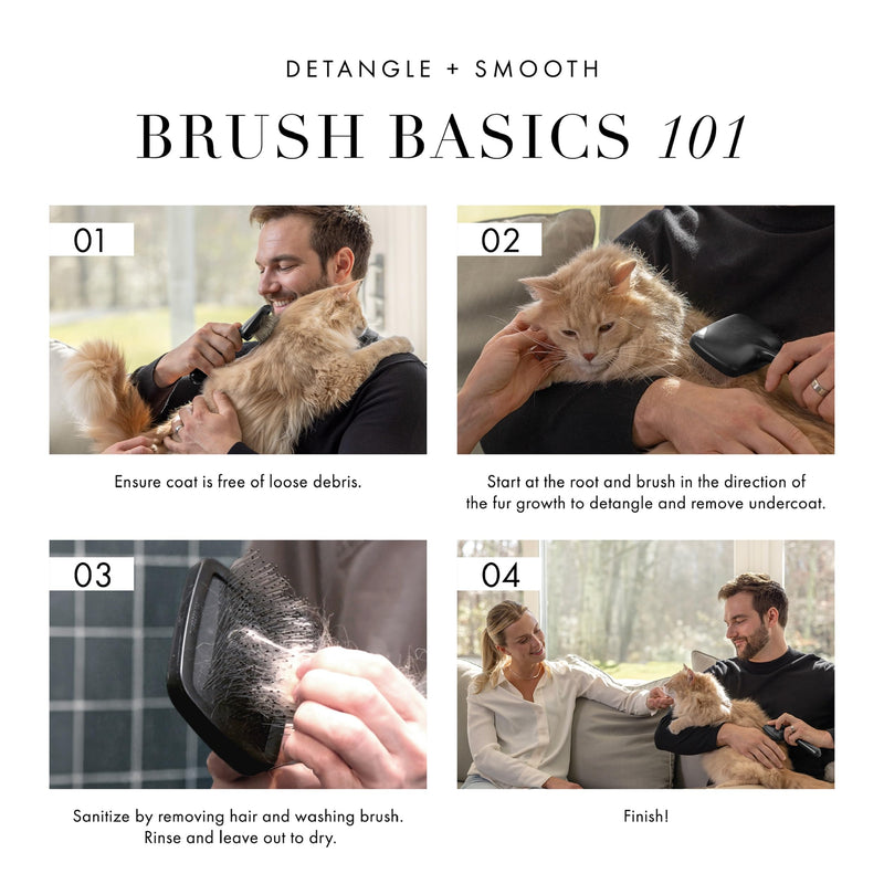 Tweezerman Dog and Cat Slicker Brush for Pets, Grooming Brush with Coated Bristles to Prevent Scratching and Ergonomic Handle Large