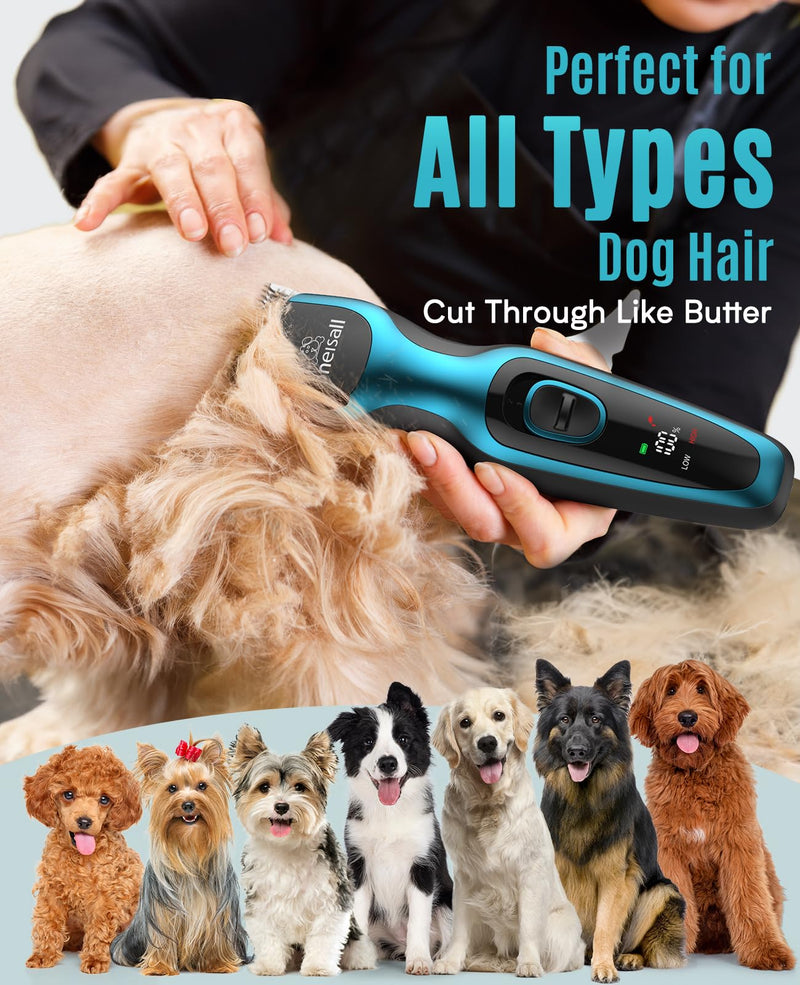 oneisall Dog Clippers for Grooming for Thick Coats with Detachable Stainless Steel Blade Cordless Rechargeable Dog Grooming Kit for Full Body DTJ001 - PawsPlanet Australia