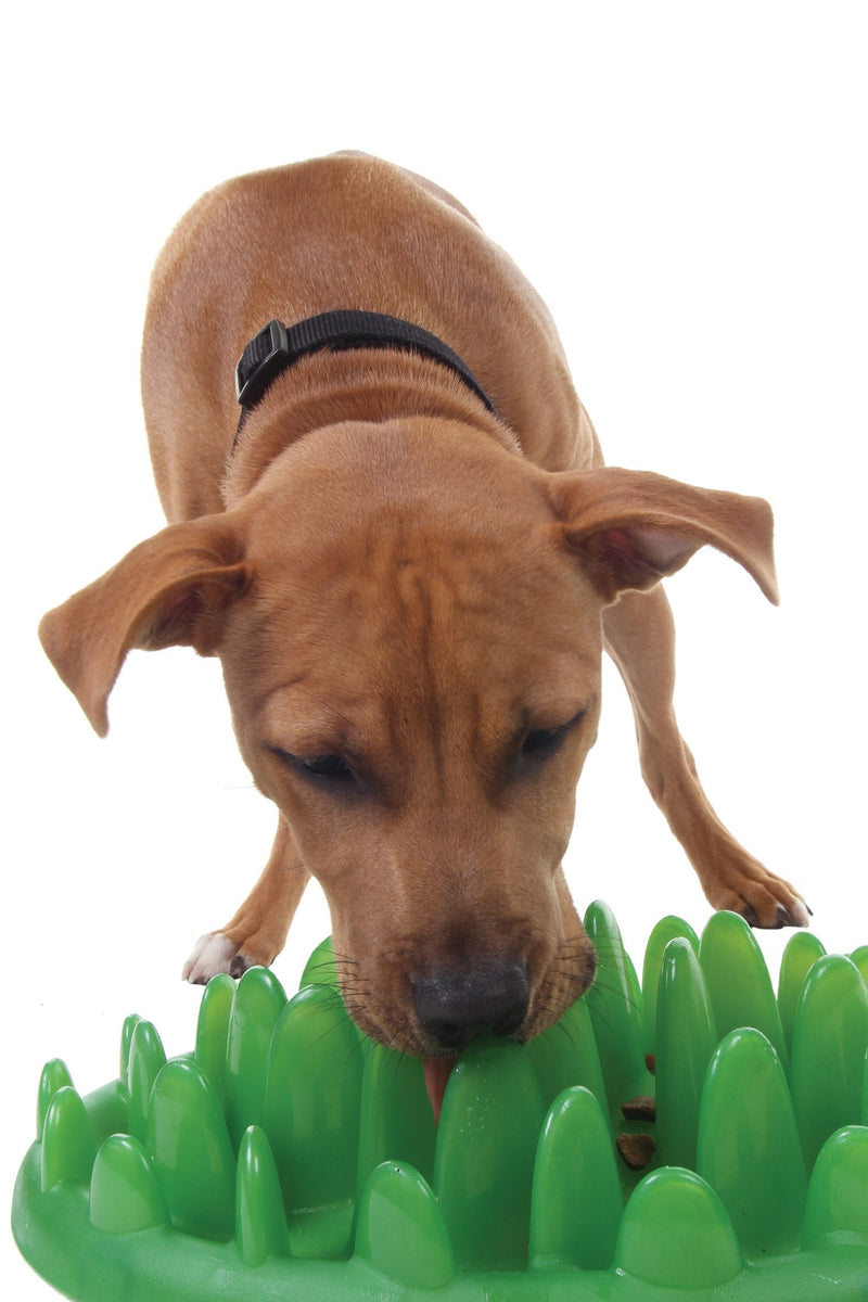 Green Interactive Feeder Mini - PawsPlanet Australia