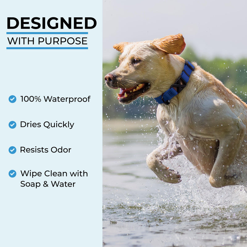 Light Duty Biothane Dog Collar - Cobalt Blue, Waterproof, Odor Proof, Lightweight, Made in The USA, Curved Quick Release Plastic Buckle, Large 19-22" Neck L19-22" x W1" - PawsPlanet Australia