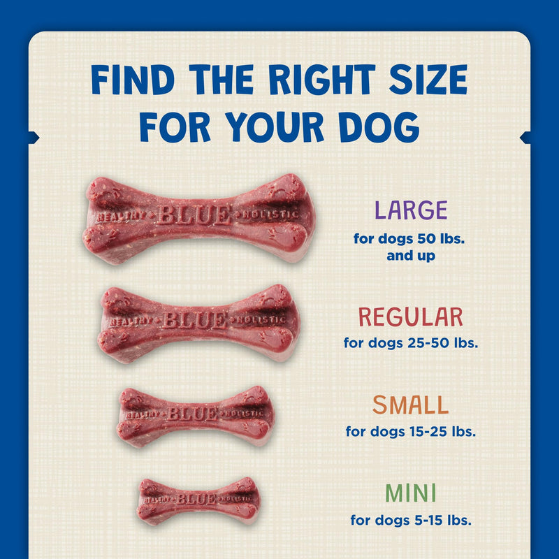 Blue Buffalo Dental Bones Mini Natural Dental Chew Dog Treats Bag Value Pack Unflavored 1.69 Pound (Pack of 1) - PawsPlanet Australia