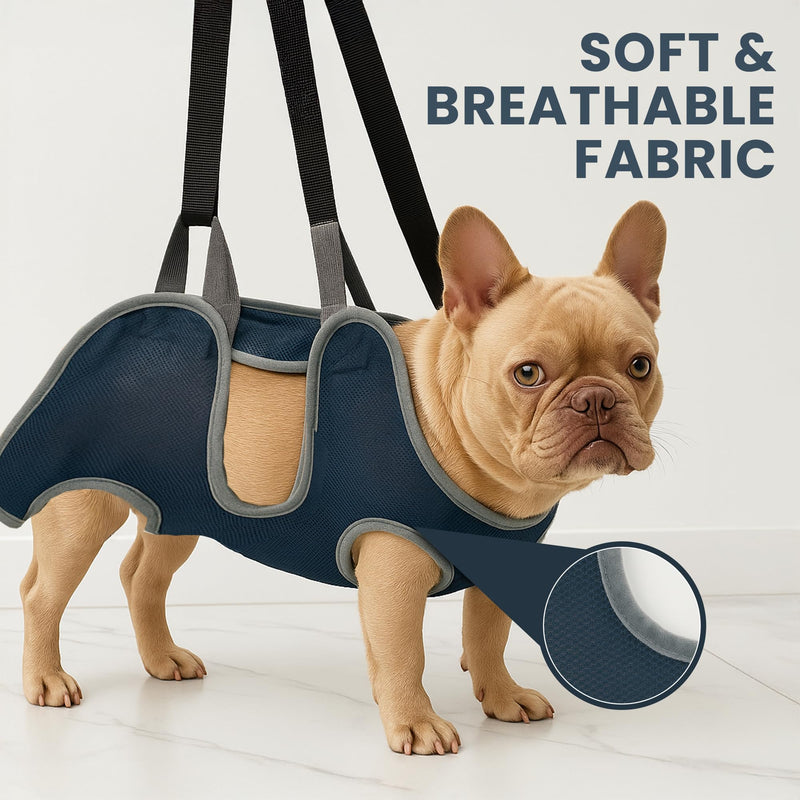 Pet Grooming Hammock Kit for Dogs & Cats, Includes Hammock Harness, Nail Clippers, Nail File, Grooming Glove, Dematting Comb, S-Hooks, Carabiners & Storage Bag for Easy Home Grooming Medium (86×52) cm Blue - PawsPlanet Australia
