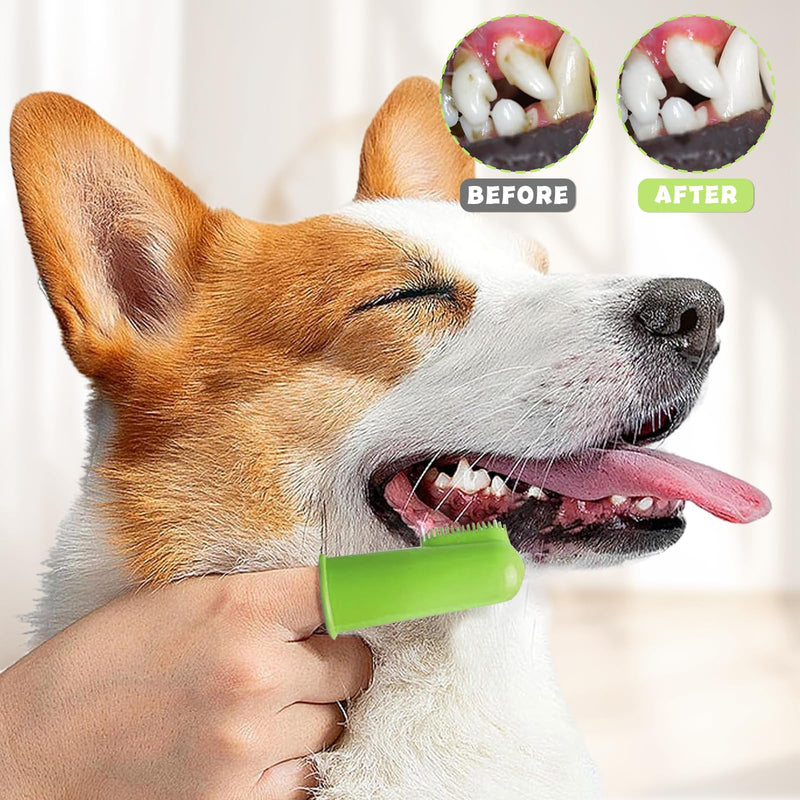 4Pcs Dog Bath Brush Set, Comfortable Long Handle Soft Grooming Brushes With Grooming Gloves Washing Gloves and Massage Brush and Finger Toothbrush, Perfect for Long Short Haired Dogs Cats Pet - PawsPlanet Australia