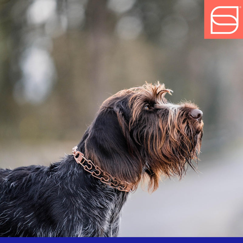 Herm. Sprenger Ultra-Plus Prong Dog Training Collar, Anti Pull Training Pinch Collar, CUROGAN (3.0 mm x 17" Neck Size; 20" Chain Length) - O-Ring Version - PawsPlanet Australia