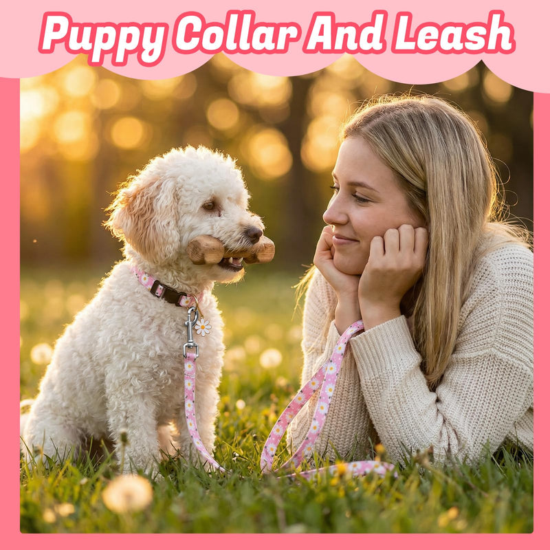 6 Pack Dog Collar and Leash Set, Puppy Collar and Leash Adjustable Floral Dog Collars for Small Dogs Soft Pet Collar for Puppy Small Dogs