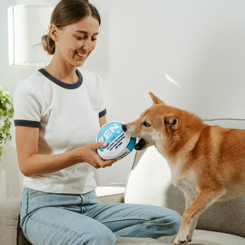 Zen Pupper Deckies Parody Dog Toy - Plush Squeaky and Crinkle Funny Dog Toy - Drool Mint - PawsPlanet Australia
