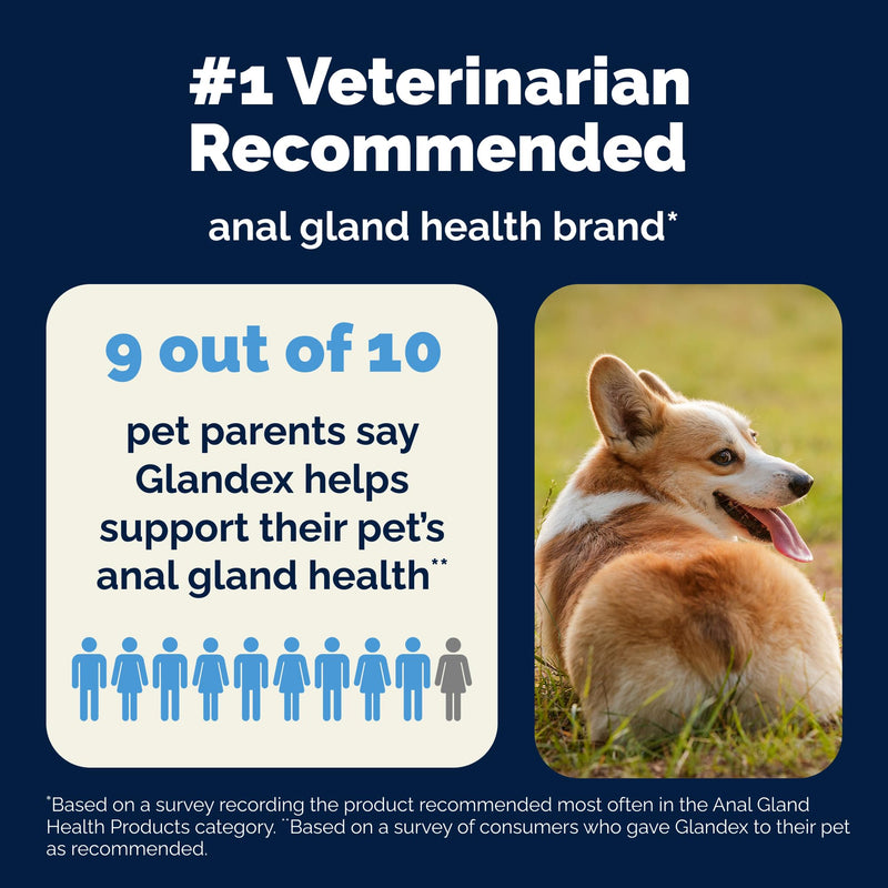 Vetnique Glandex Anal Gland Soft Chew Treats with Pumpkin for Dogs Digestive Enzymes, Probiotics Fiber Supplement for Dogs Boot The Scoot (Bacon Flavor Chews, 30 Count) Bacon Flavor Chews 30ct - PawsPlanet Australia