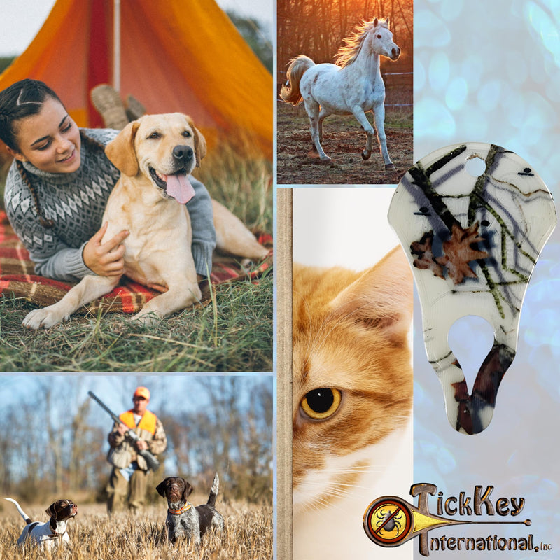 The Original Tick Key - Tick Detaching Device - Portable, Safe and Highly Effective Tick Detaching Tool (Country Roots Snow) Country Roots Snow - PawsPlanet Australia