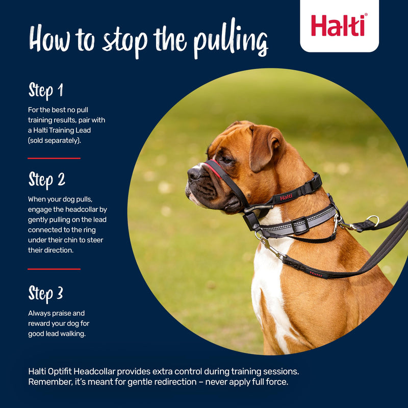Halti Optifit Headcollar - Dog Head Harness to Stop Pulling on the Lead, Easy to Use, Adjustable & Reflective Head Collar for Dogs, Professional Anti-Pull Training Aid (Size Medium)