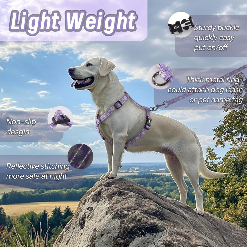 Dog Harness Leash Set, No Pull Adjustable Halter Cute Comfort Padded Handle for Medium Sized Large Small Dogs Walking Training Running with Reflective（XSmall,Purple） Purple XSmall - PawsPlanet Australia