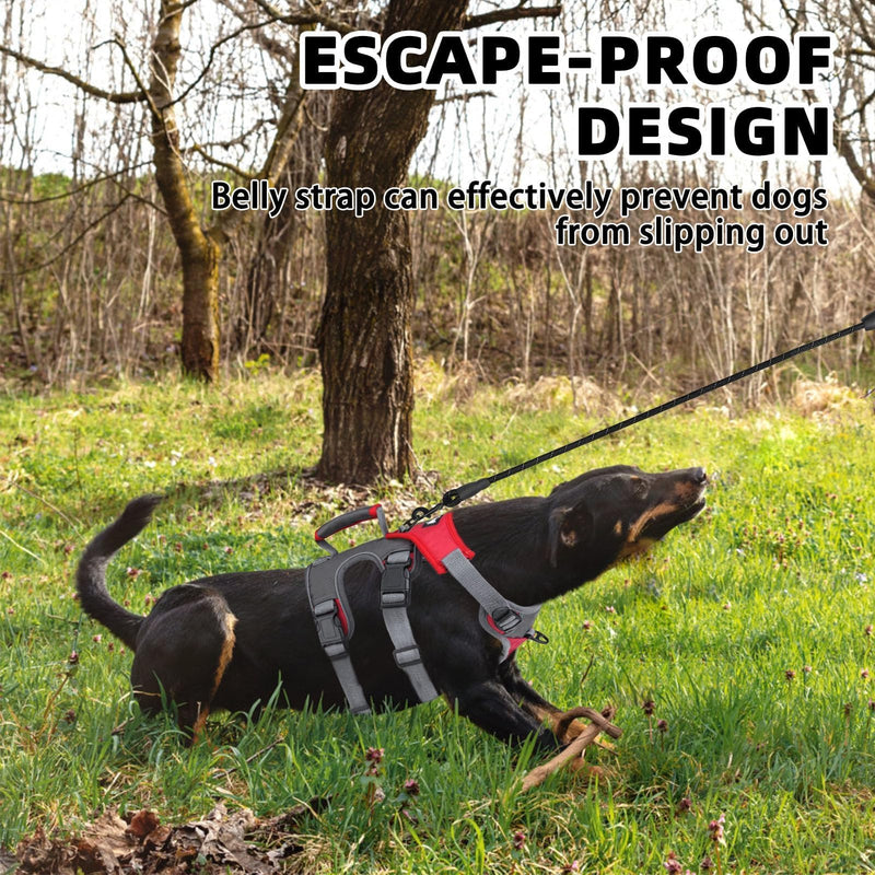 PUPTECK Escape Proof Dog Harness and Leash Set Upgraded No Pull Reflective Dog Vest with Lift Handle, Easy Control Pet Harness for Medium Large Dogs Training Walking Running Red/Grey - PawsPlanet Australia
