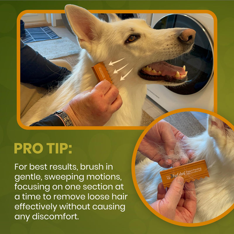 Direct 10 Pet Grooming Brush 3.54" - Gentle, No Metal Blades, Soft Dog, Cat Brush - Train Pets to be Brushed - Portable, Easy To Use Slicker Pet Grooming Tool for Dog, Cat, Puppy, Kitten Hair - PawsPlanet Australia