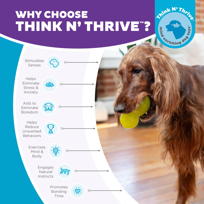 Outward Hound Double-Tuff Durable Interactive Treat Stuffer Dog Chew Toy, Durable Dog Toy, Large, Green - PawsPlanet Australia