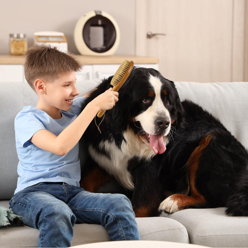 TAKAVU Short Hair Dog Cat Brush, Double-Sided Silicone & Bristle Pet Grooming Brush for Removing Dirt & Loose Hair, Coats Detangling Deshedding, Massage Pet Skin, Wood Handle Pet Comb White Boar Bristle & Silicone Brush - PawsPlanet Australia