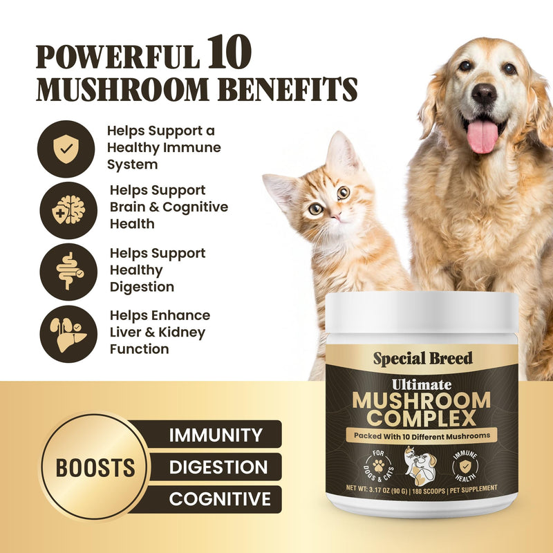 Mushroom Powder for Dogs & Cats - Organic Mushroom Complex for Immune Support, Cognition, Vitality - Ten Mushroom Supplement with Turkey Tail, Lion's Mane, Reishi - 180 Scoops 3.17oz