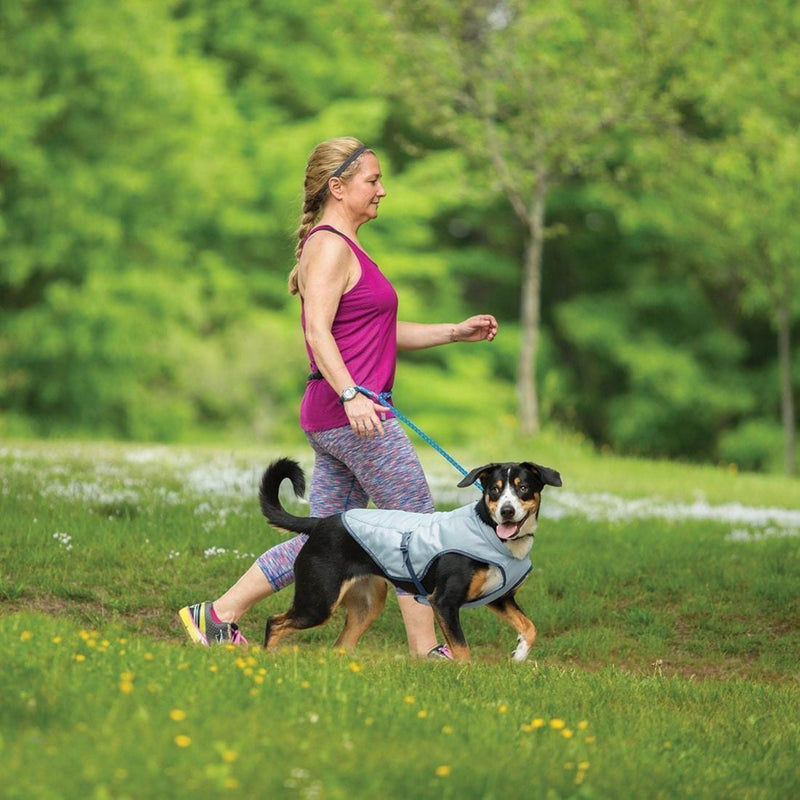 Kurgo Dog Core Cooling Vest - Summer Cooling Jacket - Evaporative Cooling Coat - Harness-Compatible - Reflective Accents - Grey - Medium Medium (Pack of 1) - PawsPlanet Australia