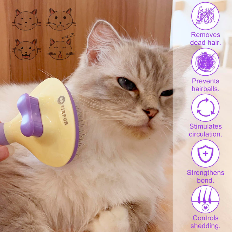 Cat Brush for Grooming and Shedding, Self-Cleaning Silicone Brush for Short and Long Haired Cats, Cat Gifts for Pet Lovers (purple) Purple - PawsPlanet Australia