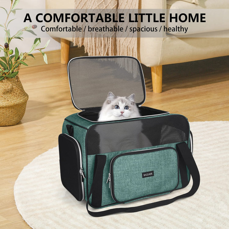 BAGLHER Pet Travel Carrier, Cat Carriers Dog Carrier for Small Medium Cats Dogs Puppies, Airline Approved Small Dog Carrier Soft Sided, Collapsible Puppy Carrier. Green - PawsPlanet Australia