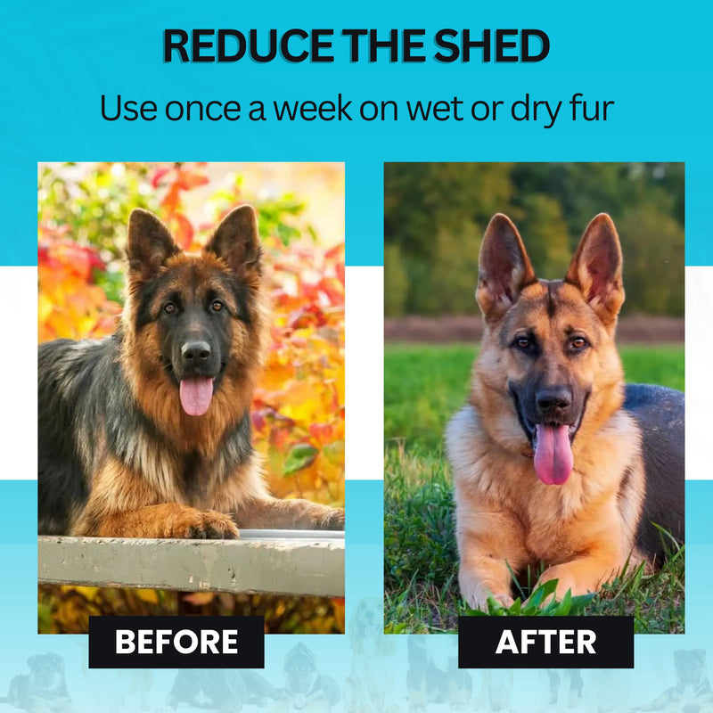 Candure Dematting Comb for Dog and Cat, Pet Grooming Rake and Brushes for Small, Medium & Large Dogs 17+9 Double Sided Deshedding Tool Removes Knots and Tangled Hair (Blue) Blue - PawsPlanet Australia