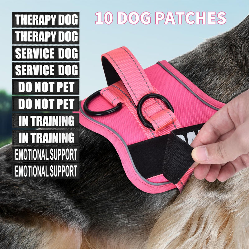 Dog Vest Harness and Leash Set, Animire Reflective Service Dog Vest with 10 Patches, 3 Rings No Choke Pet Vest for Leash Placement, in Training Dog Harness for Small Medium Large Dogs(Hot Pink,M) Medium(Chest: 18-25 Inch) Hot Pink - PawsPlanet Australia