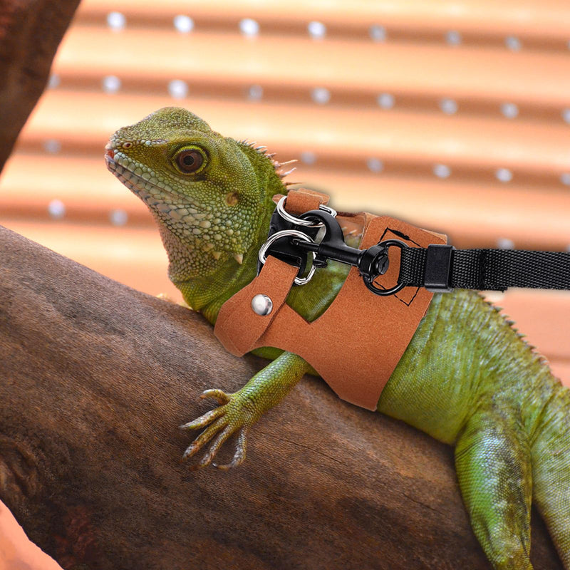 3 Pack Adjustable Harness and Leash Set Soft Leather Lizards Harness Small Animal Traction Rope Strap Bearded Dragon Lizard Training Walking Vest for Reptiles Squirrel Lizard Chinchilla - PawsPlanet Australia