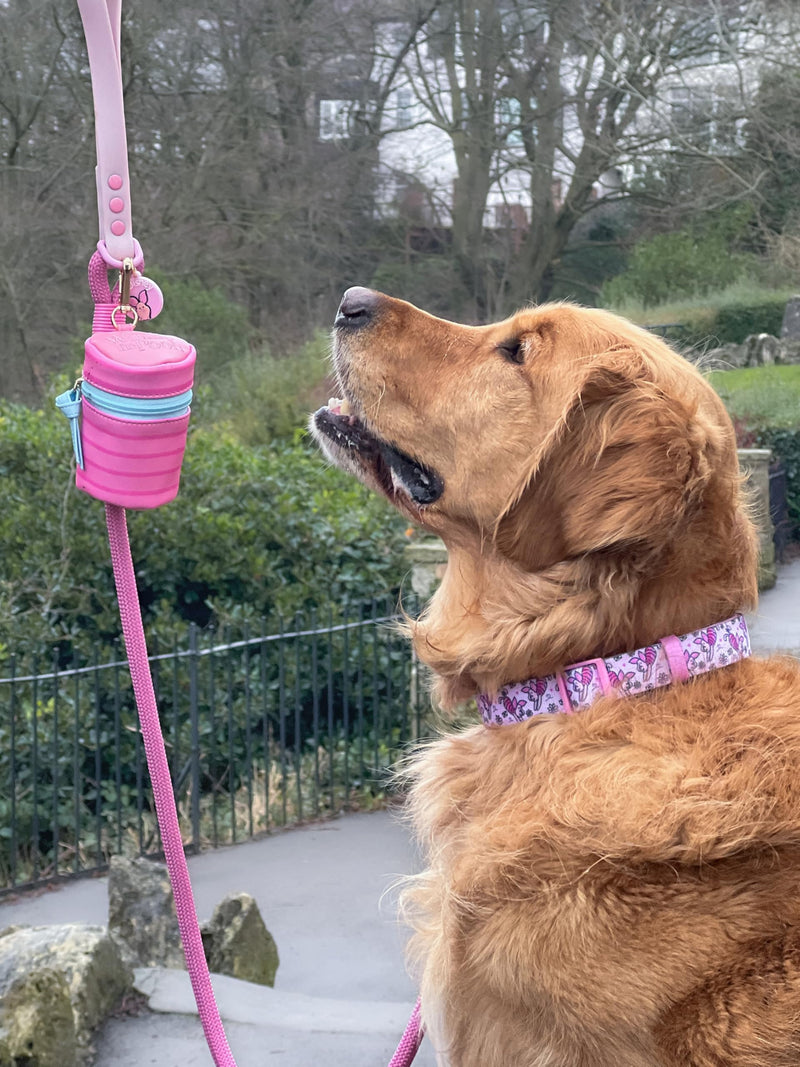 Pawsome Paws Boutique Piglet Extra Small Adjustable Disney Collar with Soft Lining and Secure D-Ring