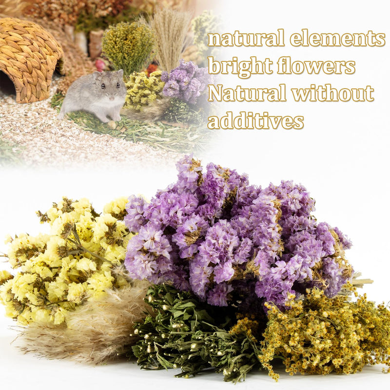 Sukh Herb Bedding Habitat Decor - Natural Flower Habitat Decor Natural Hamster Bedding Mate Natural Hamster Sprays Hamster Cage Decor for Guinea Pig,Dwarf Hamster,Golden Bears Or Other Small Pets - PawsPlanet Australia