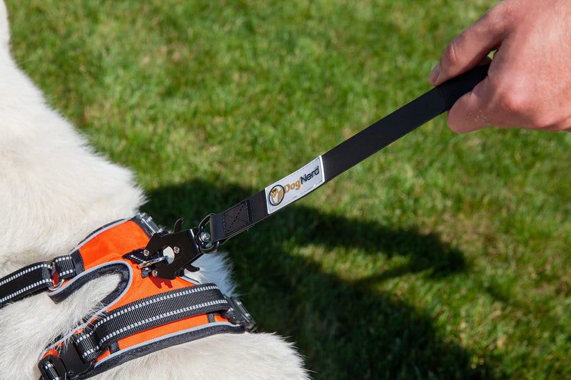 6FT Silicone Heavy Duty No Pull Tactical Dog Leash - Quick Release/Locking Carabiner for Medium & Large Breeds - Waterproof Durable Strong Training Leash (6 FT, Orange) 6' Blaze Orange - PawsPlanet Australia