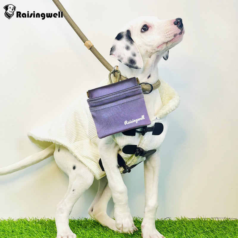 Dog Treat Pouch, Pocket Sized Pet Training Pouch, Hand Free Purple Dog Walking Bag with Carabiner, Self-Closing Pet Feed Snack Reward, for Puppy Travel or Outdoor Use, NanoPTC s.NM-PURPLE - PawsPlanet Australia