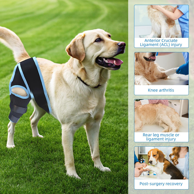 Dog ACL Brace with 10 Upgraded Support Chains - Provides Extra Support for Hind Leg, Torn ACL, and Joint Injuries - Adjustable & Comfortable Wrap for Canine Knee, Hock, and Ankle(Blue M Size)