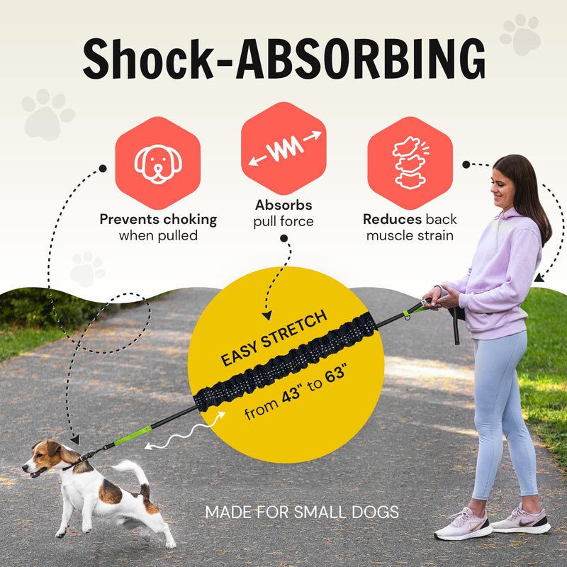 Hands Free Dog Leash for Small Dogs - Lightweight Waist Leash for Running Walking Hiking with Dogs Under 30 lbs - Adjustable Waist Belt, Pouch, Reflective Retractable Bungee, Dual Handles - PawsPlanet Australia