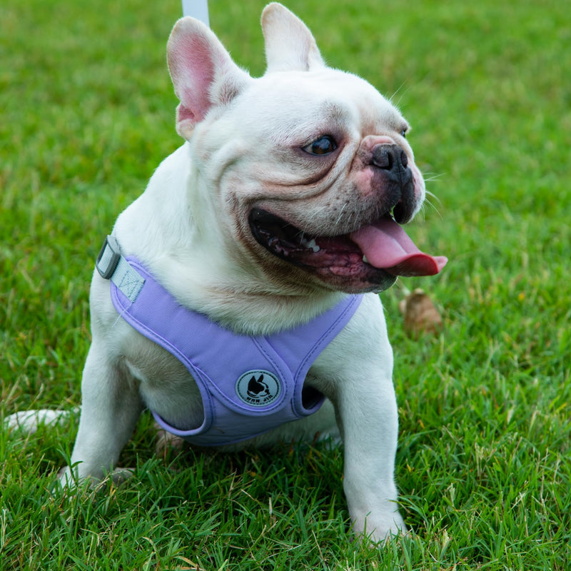 Dog Harness with Leash Set, No-Pull Pet Harness with 1 Leash Clips, Adjustable Soft Padded Pet Vest for Small Medium Dogs No Pull, Puppy Harness and Leash Set - PawsPlanet Australia