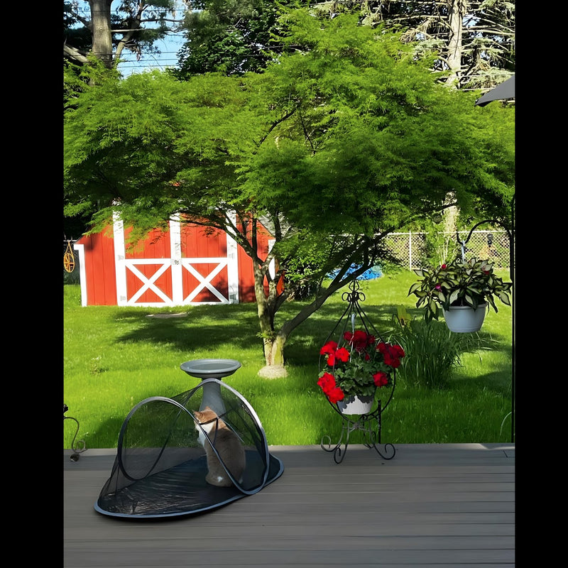 Cat Tent Outdoor, Pet Enclosure Tent Suitable for Cats and Small Animals, Indoor Playpen Portable Exercise Tent with Carry Bag?Black? Black