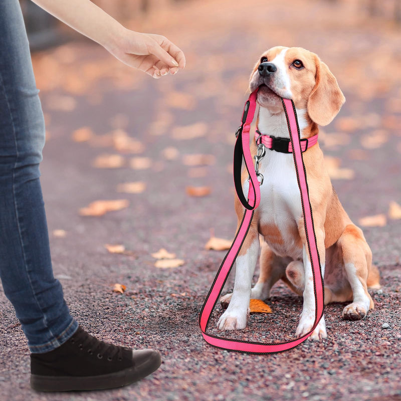 4FT LED Dog Leash – Rechargeable Light Up Dog Lead with Dual-LED Glow, Reflective Nylon, Waterproof Glow Dark Leash with Padded Handle for Small Medium Large Pets Night Walking-Pink Pink - PawsPlanet Australia