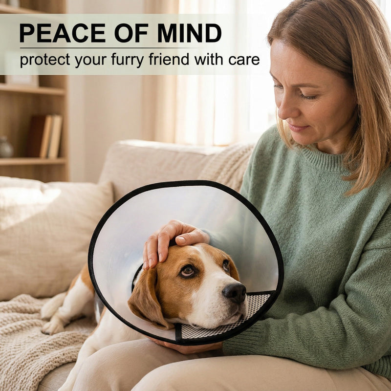 Pet Cone Recovery, Soft Cat Neck Brace, Suitable for small to medium-sized cats weighing 3 to 8 kg (neck circumference 27-31 cm)