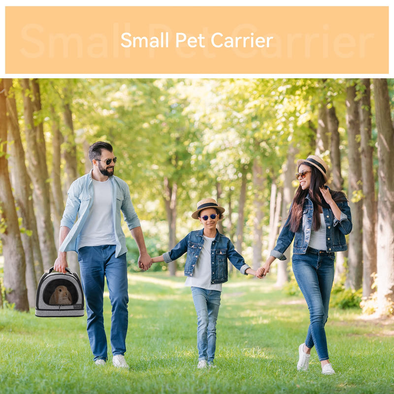 Petsfit Dog Travel Crate Small Design, Soft Sided Small Dog Kennel & Cat Kennel, Fit for Approved Travel, Camping, Outdoor Use Medium Grey A - PawsPlanet Australia