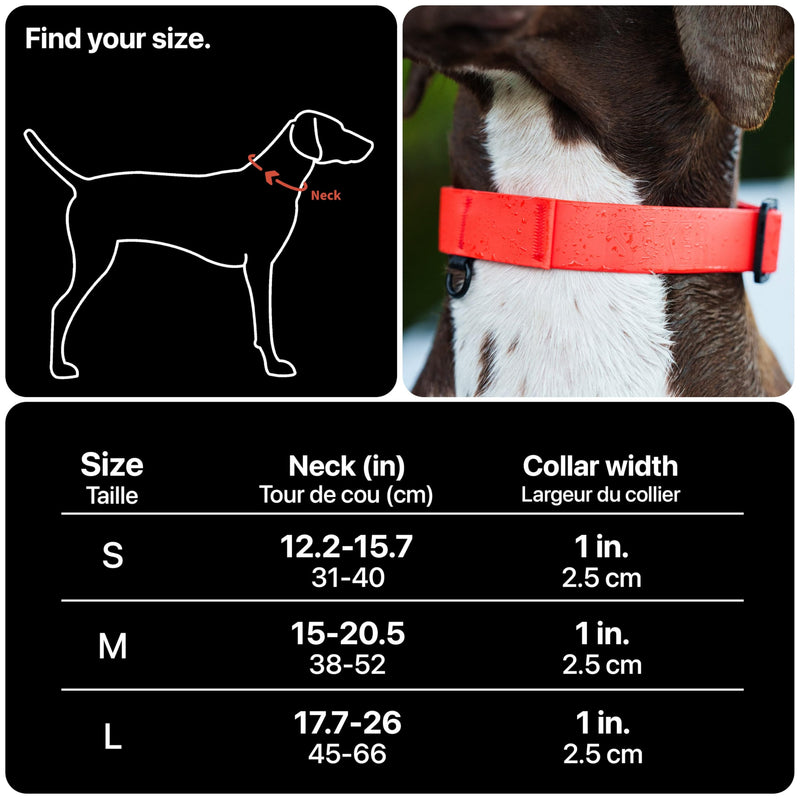 Säker Waterproof Dog Collar - Adjustable Lightweight Dog Collars for Medium Dogs - 1 Inch Durable Medium Dog Collar with Aluminum D-Ring, Daisy Chain and Quick-Release Buckle | Purple Dog Collar M Lilas - PawsPlanet Australia