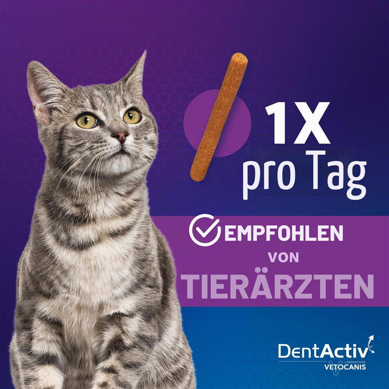 Vetocanis Dentactiv Dental Cat Sticks Delicious Cat Treats Cat Dental Care & Health Cat Snacks 85% Beef Cat Food Recommended by Veterinarians Anti-Plaque System 60 g (Pack of 1)
