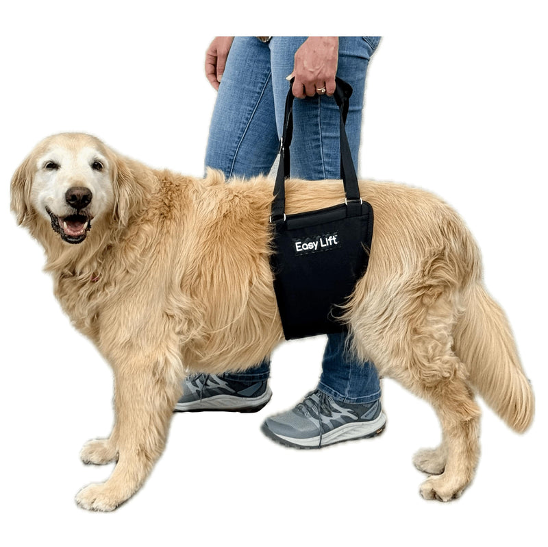 Easy Lift Dog Support Sling, Rear Hind Leg Harness for Injured & Senior Dogs, or Surgery Recovery & Rehabilitation, Padded for Comfort, Ergonomic Design, Machine Wash & Dry (Large/Extra Large) Large / Extra Large
