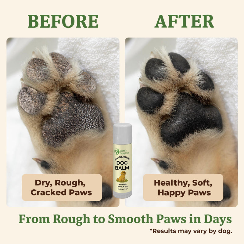 Earth’s Daughter Dog Paw Balm Big 0.56 oz – Organic Paw & Nose Protector with Beeswax, Coconut & Calendula – Itch Relief & Natural Skin Care for Dogs & Puppies – Travel Essential - PawsPlanet Australia