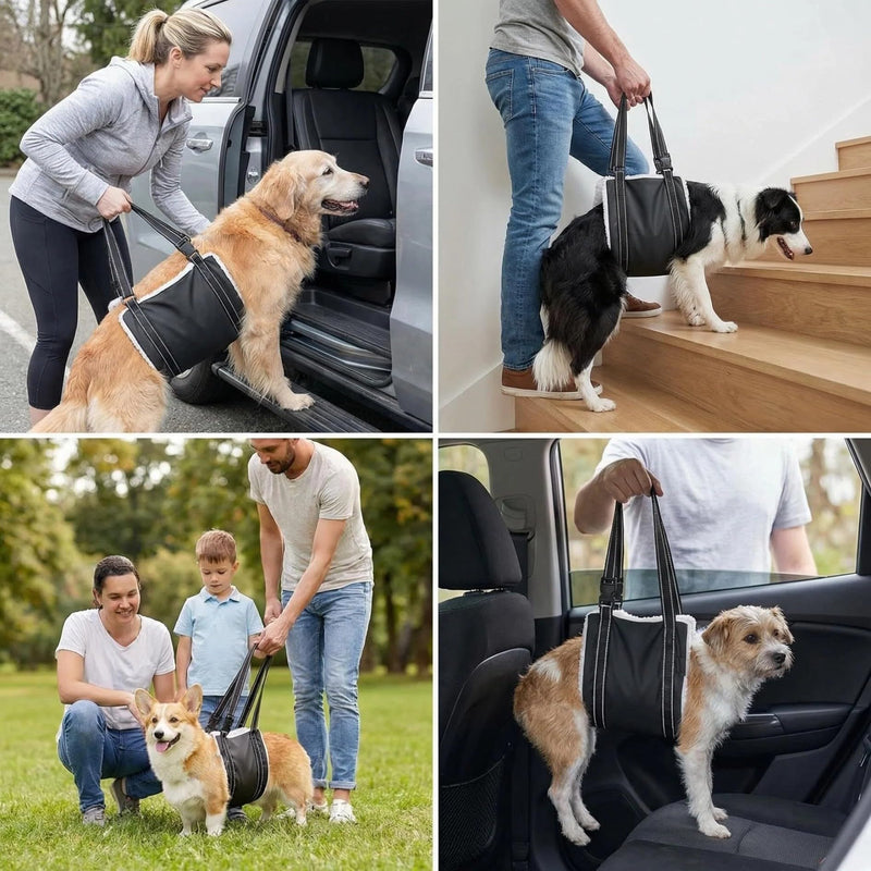 Dog Harness for hind Legs and hind Body, Hip Support Harness, Rear Leg Assist for Senior Dogs (Large) for 46-100lbs