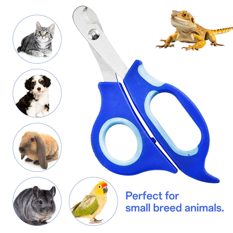 Bearded Dragon Nail Clippers with Precise Angled Edges, Stainless Steel Bearded Dragon Toe Nail Clippers Cat Claw Clippers with Nail File Paw Trimmer, Bearded Dragon Accessories Pet Grooming Tools - PawsPlanet Australia