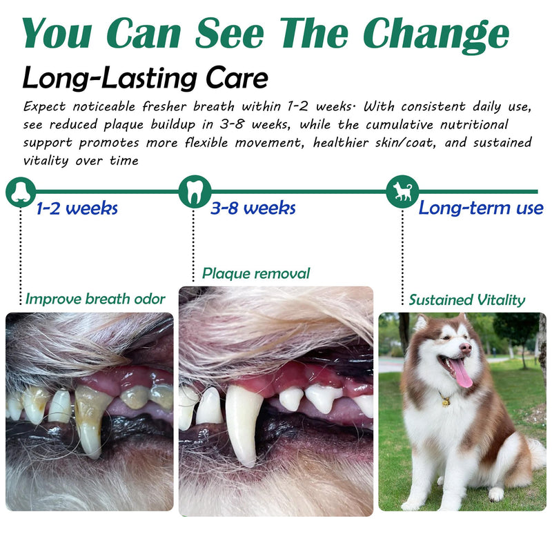 Senior Dog Dental & Supplement Powder - Contains Vitamin E, Glucosamine, Omega-3 and Probiotics - Effectively Removes Tartar Buildup, Supports Your Dog's Dental, Joint, and Digestive Health, 7 oz Beef Flavor 7.05 oz (200g)