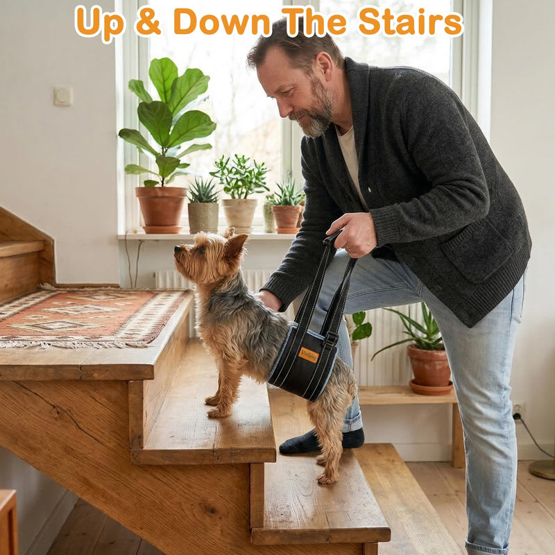 Vivifying Dog Lift Harness for Small Dogs, Soft Flannel Rear Leg Support Sling, Adjustable Dog Lifting Harness for Weak Back Legs, Senior Injured Disabled Dogs, ACL Surgery Mobility Assist, S, Gray