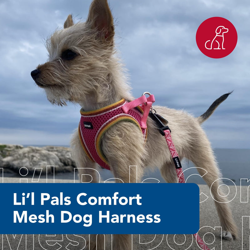 Coastal Pet Li'l Pals Comfort Mesh Dog Harness - No-Pull, Cooling Vest, Small Dog & Puppy - Blue Lagoon - X-Small/Small 3/8" x 8"-10" - PawsPlanet Australia