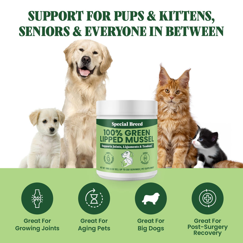 Special Breed Green Lipped Mussel Powder for Dogs & Cats - 100% New Zealand - Natural Hip & Joint Supplement for Joints, Tendons, Ligaments, Muscles - 100 Grams - Up to 332 Servings - PawsPlanet Australia