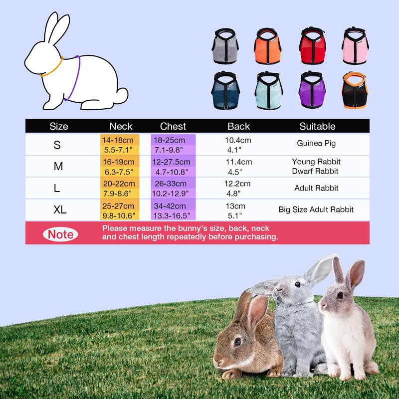 Niteangel Adjustable Soft Harness with Elastic Leash for Rabbits (L, Blue) L - PawsPlanet Australia
