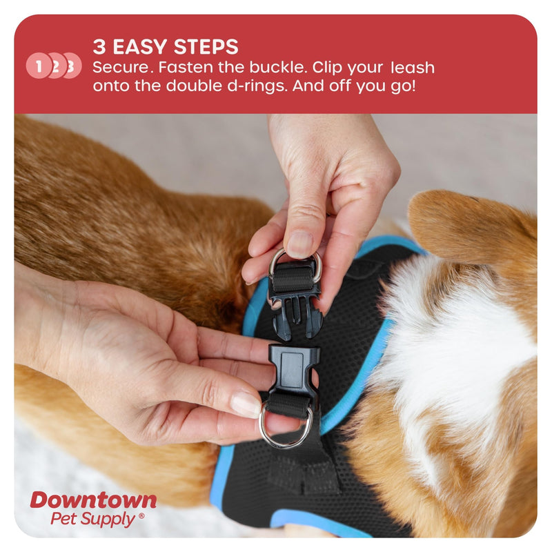 Downtown Pet Supply Step in Dog Harness for Small Dogs No Pull, Medium, Black w/Cobalt Blue Trim - Adjustable Harness with Padded Mesh Fabric and Reflective Trim - Buckle Strap Harness for Dogs Black w/ Cobalt Blue Trim - PawsPlanet Australia